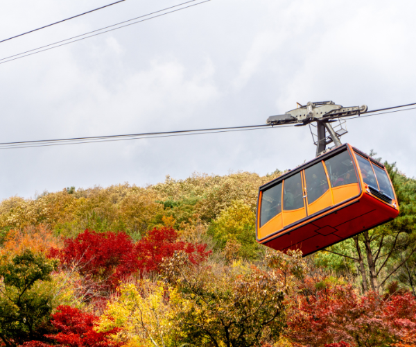 大雪山旭岳纜車+洞爺湖花火節+三大蟹賞楓5日